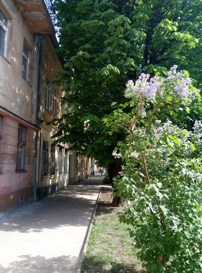 Lviv Appartment On Yaroslava Mudrogo 14 エクステリア 写真